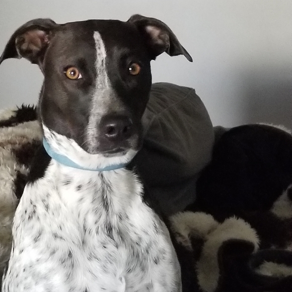 Meet your Posher, Jasmine🦊🌻🍄🥧🍁🍂🐿🦔🦝📚🕯☕🥾👩🏽🌾 - Picture 2 of 16